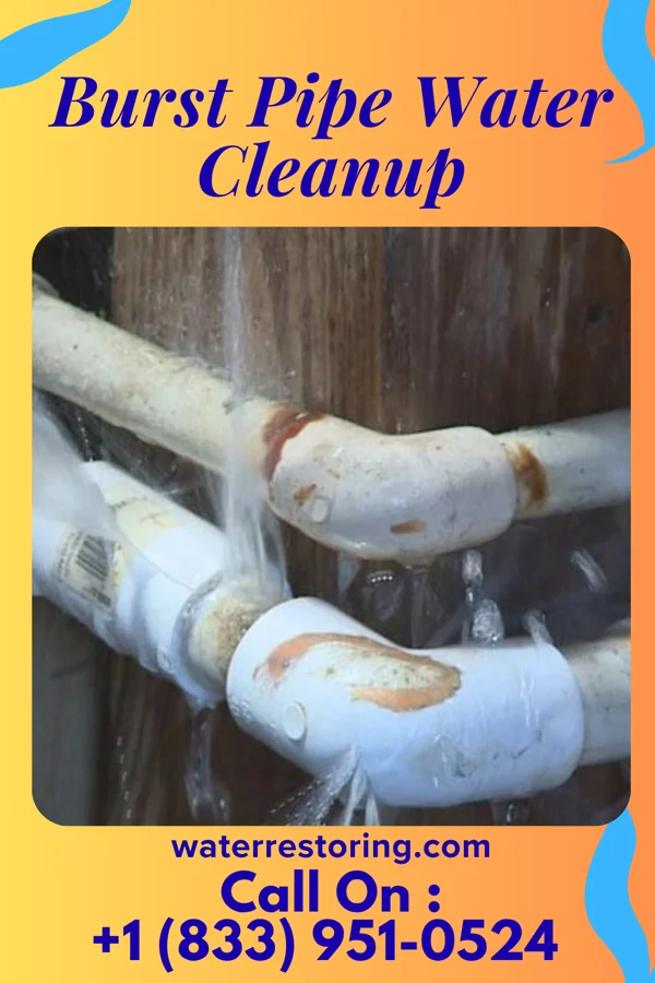 Burst Pipe Water Cleanup in Ashley, MI