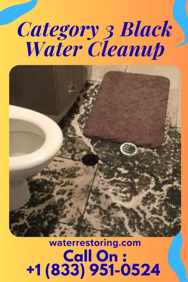 Category 3 Black Water Cleanup in Ashley, MI