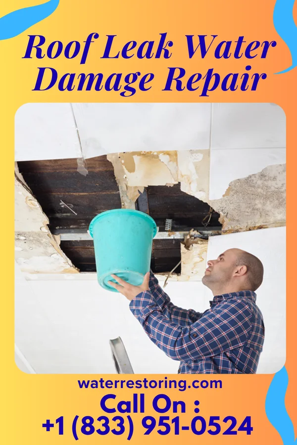 Roof Leak Water Damage Repair in Ashley, MI