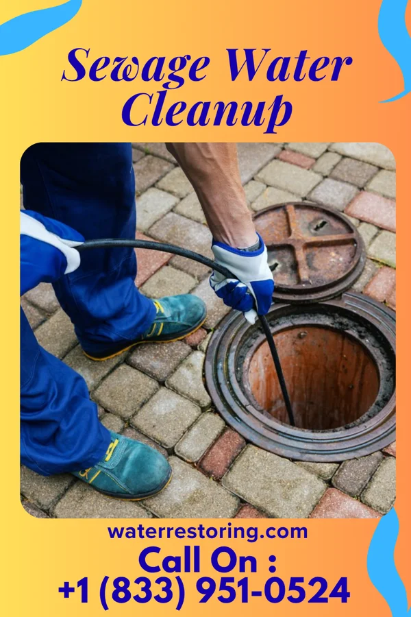 Sewage Water Cleanup in Ashley, MI